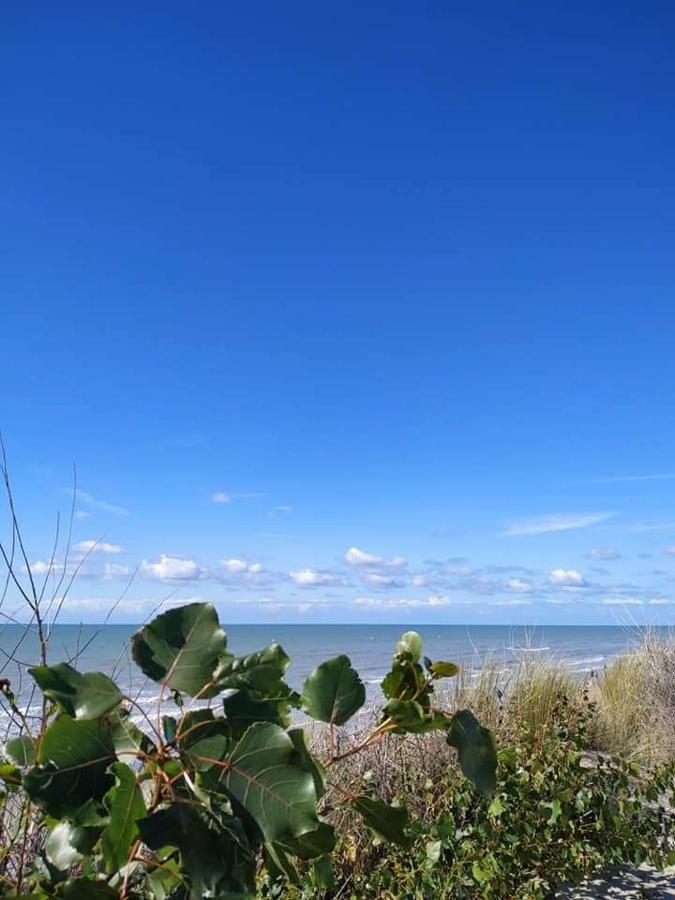 Campsite Le Cote D'opale Cucq