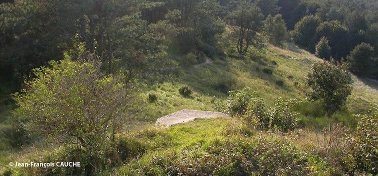 Le Cote D'opale *